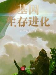 光阴的飞刀