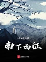 三国之杨洁传奇