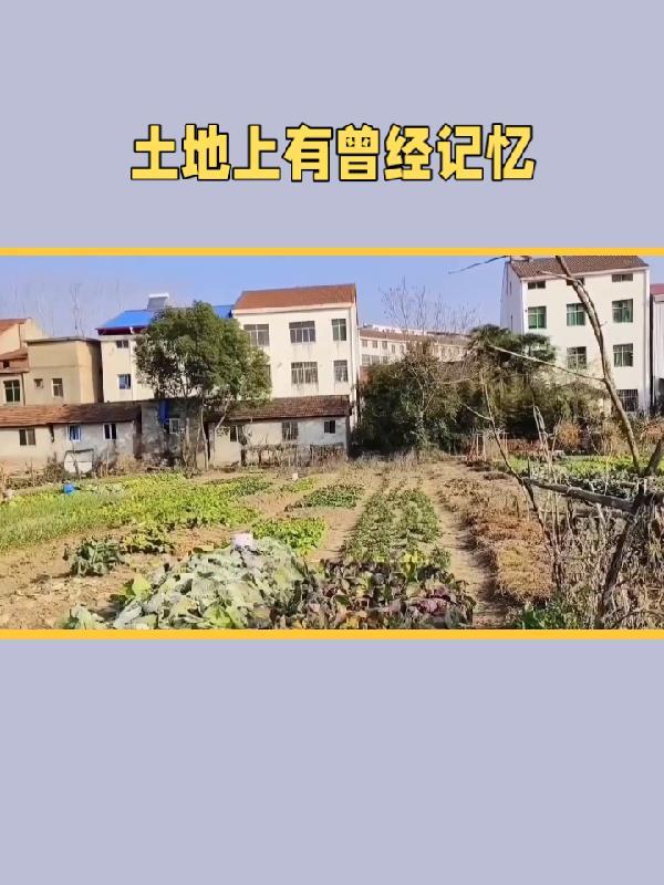 重生:渣男的成长史 重生:渣男的成长史