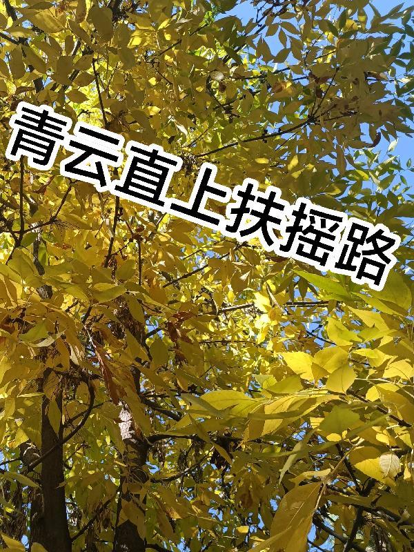 命运回归