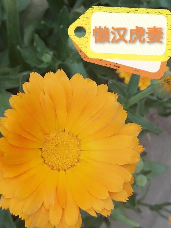 人间天外