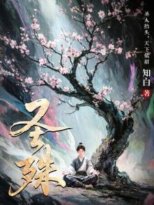 我来我见我征服