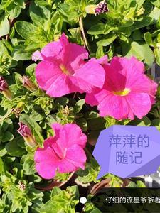 太古女帝和她的冷清神女殿下 太古女帝和她的冷清神女殿下