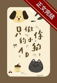 广场舞杀穿三界，系统求停BGM