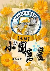 拽少爷恋上黑道公主