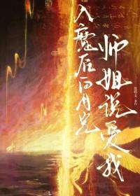 红楼：我是贾璉