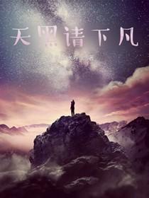 四號记录