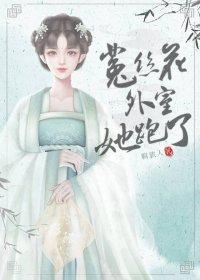 清穿之捡到失忆康熙