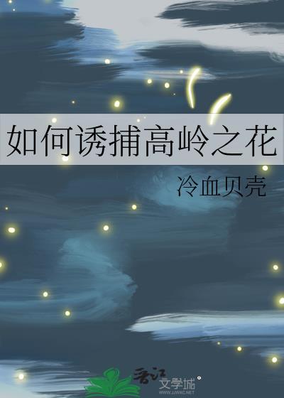 点家夫婿